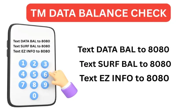 tm data balance check