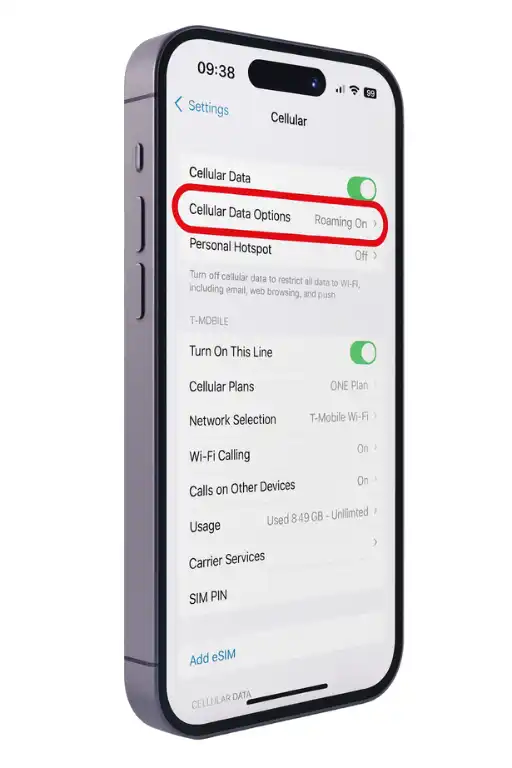 how to enable data roaming in iphone